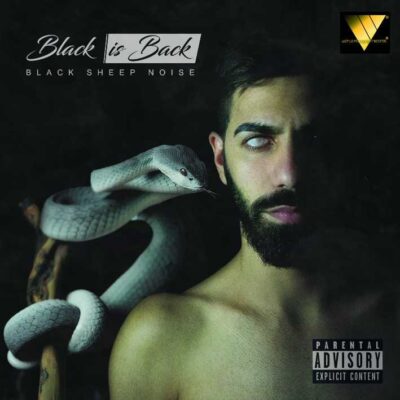 2020 - BLACK IS BACK - BLACKSHEEP NOISE (ALBUM)